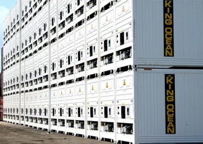 Cargo Containers Equipment